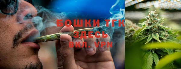 экстази Бородино