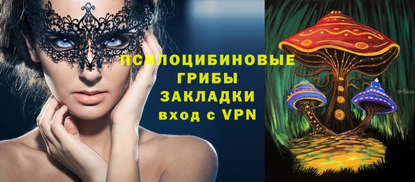 a pvp Богородицк