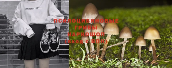 дживик Весьегонск