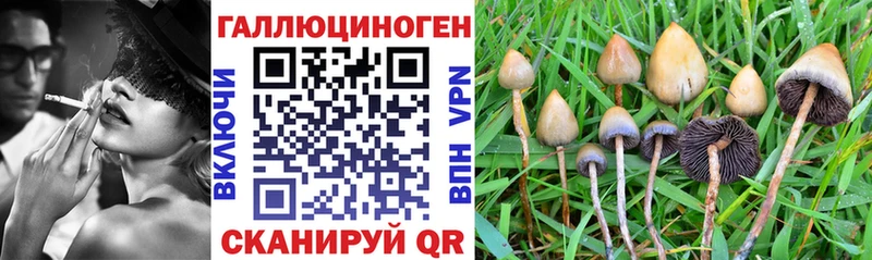 Галлюциногенные грибы ЛСД  цена   гидра ссылка  Горно-Алтайск 