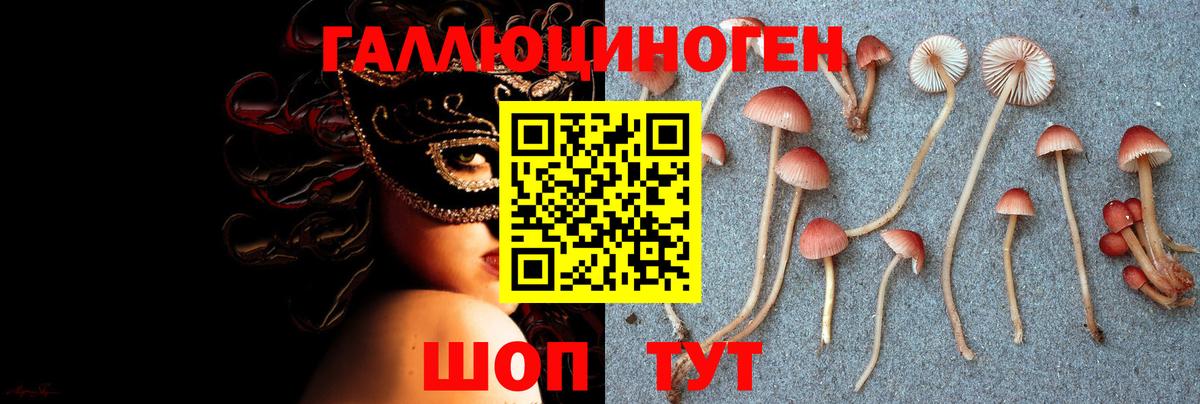 Галлюциногенные грибы Magic Shrooms  наркота  Галлюциногенные грибы Magic Shrooms  Горно-Алтайск  Вход с VPN 