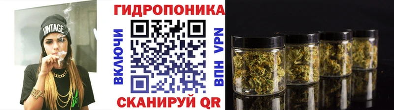 Шишки марихуана марихуана  сколько стоит  Горно-Алтайск 